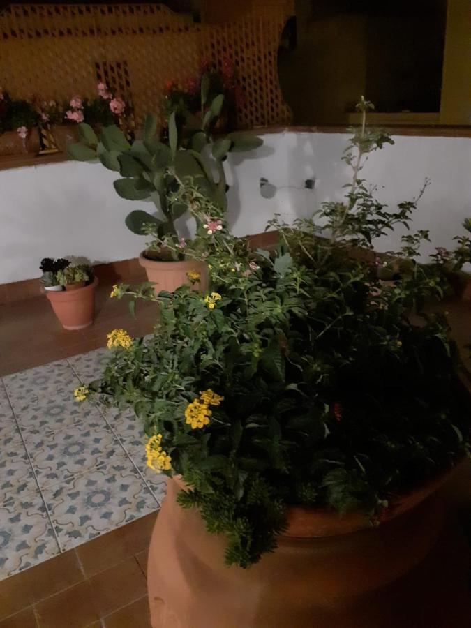 Dolce Far Niente Villa Noto Eksteriør bilde
